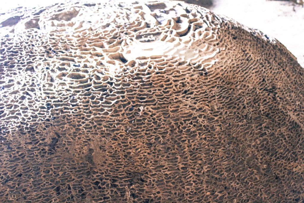 cave-lod_bangkok_thailand_bryannaulrick_photo8